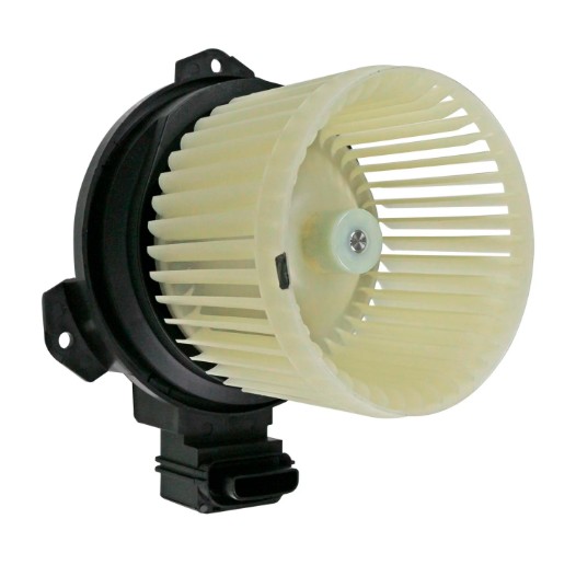30038